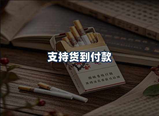 专业团队办公环境